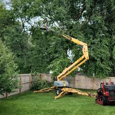 Best Lawn Watering Services  in Brentwood, MD