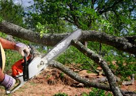 Best Pest Control for Lawns  in Brentwood, MD