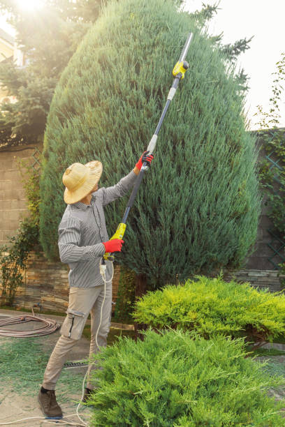 Best Soil Testing and Treatment  in Brentwood, MD